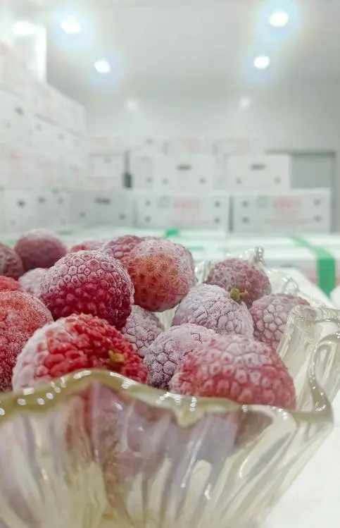 Shanghai Tangke Vacuum Bags: Empowering the Lychee Industry and Collaborating for a Shared Freshness Future