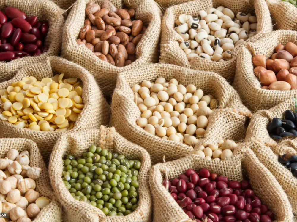 Can vacuum sealer and vacuum sealer bags be used for dry food?